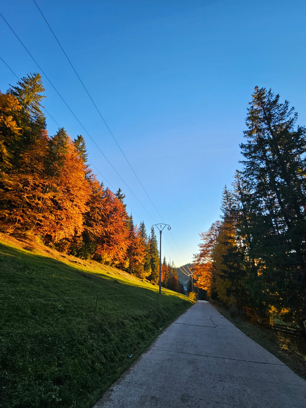 Vedere panoramică